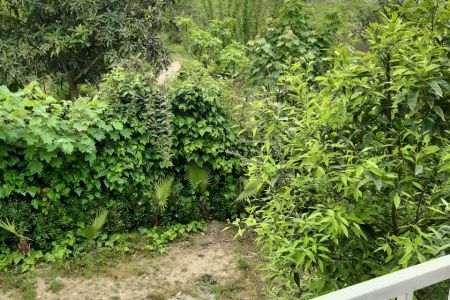 خانه ویلایی در خرم آباد تنکابن - نعمت آباد