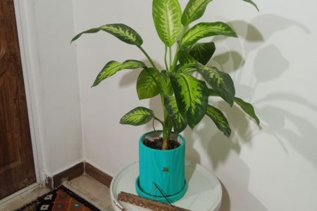 خانه ویلایی در چالوس - خط هشت