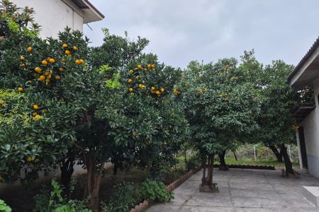 خانه حیاط دار در رامسر