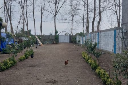 سوئیت کاهگی رو به دریا در انزلی - بشمن