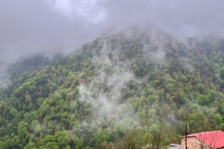 سوئیت با جکوزی رو به جنگل فیروزجاه - همکف