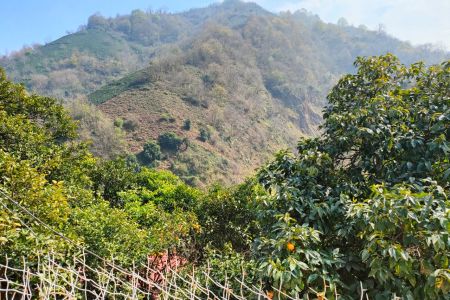 خانه ویلایی در لنگرود - میان سرای لیلاکوه