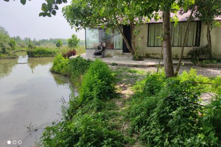 سوئیت کنار برکه و شالیزار در مرکیه صومعه سرا
