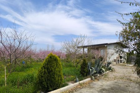 خانه باغ در ساری - دریک