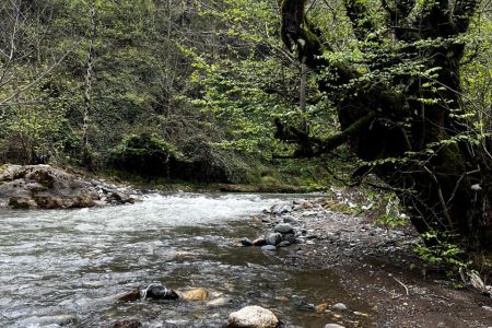 ویلا دوبلکس رو به رود در جنگل های گیشم