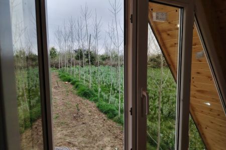 کلبه سوئیسی در بابلکنار - آزارسی