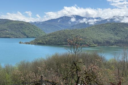 کلبه سوئیسی با ویو دریاچه در لفور - میرارکلا