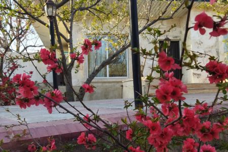 ویلا حیاط دار در شهریار - صالح آباد