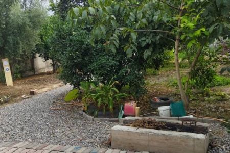 سوئیت حیاط دار در گرگان - لمسک
