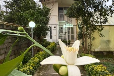 خانه ویلایی در رامسر - بلوار هلال احمر