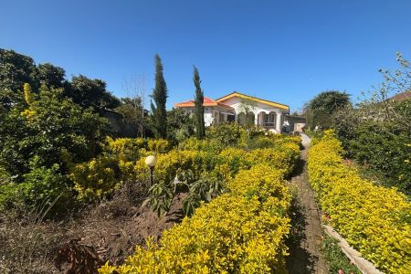 باغ ویلا در چمخاله