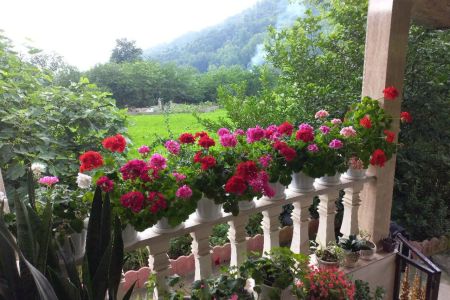 اجاره خانه حیاط دار در صومعه سرا - تنیان