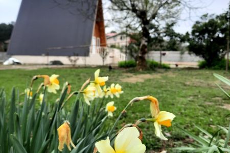 کلبه سوئیسی در گیسوم - لتیین