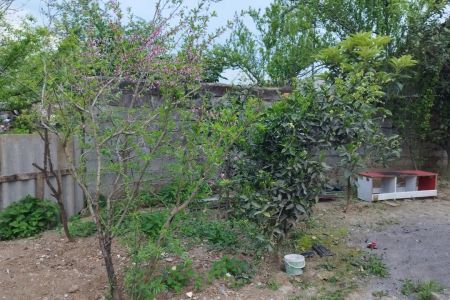 خانه ویلایی در رضوانشهر - خلیل محله