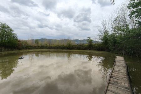 کلبه با استخر پرورش‌ماهی در کوچکده لاهیجان