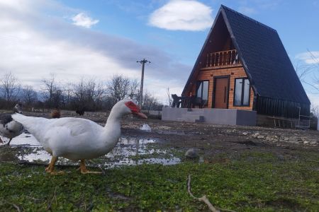 کلبه سوئیسی در اسالم -  لمرعلیا خالسرا