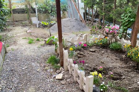 کلبه کانکسی در ماسال