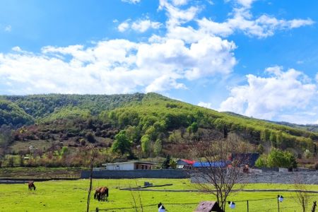 کلبه سوئیسی در شاندرمن - وزمتر