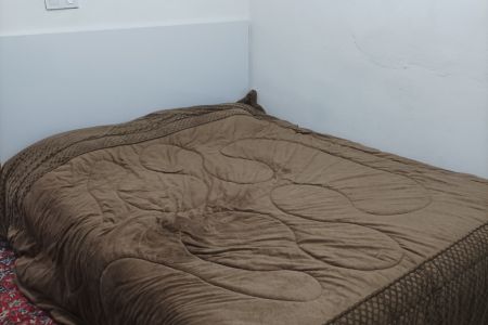 خانه ویلایی در زیباکنار - امیر بکنده