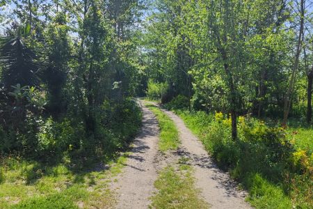 خانه ویلایی در سیاهکل- جاده سیاهکل به سنگر