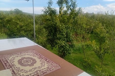خانه ویلایی در بابل - مرزناک