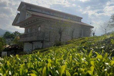 خانه کنار باغ چای در سفیدمزگی شفت - ط ۲