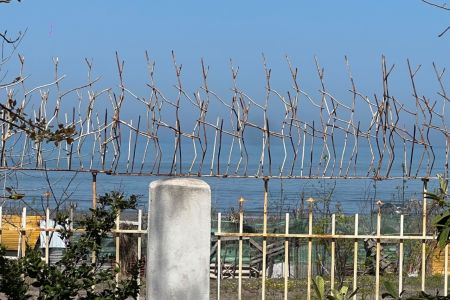 ویلا ساحلی در بندرانزلی - طالب آباد