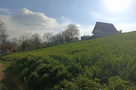 خانه ویلایی در بهشهر - پجیم