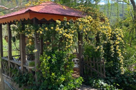 Country House Reservation in Rudbar - Lower Floor