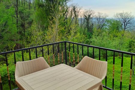 کلبه سوئیسی در بابلکنار - فرام لک