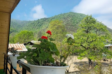 کلبه با نمای چوبی در ماسال - میله سرا