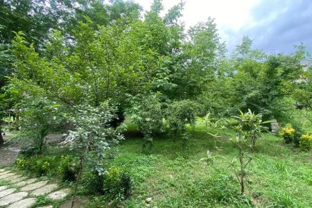 کلبه چوبی در ماسال - آهکلان