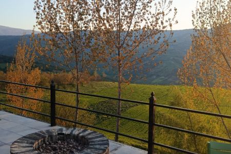 اجاره کلبه سوئیسی در نکا - فریمک