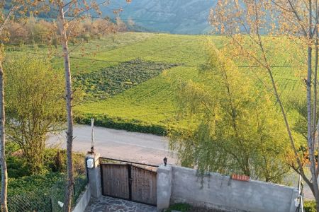 اجاره کلبه سوئیسی در نکا - فریمک