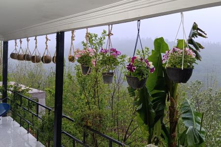 خانه ویلایی در جاده دیلمان - اشکمجان پهلو