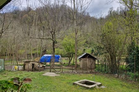 اجاره ویلا در شاندرمن - طالب دره