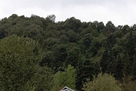 خانه مبله در ماسال - وشمه سرا - ط ۲