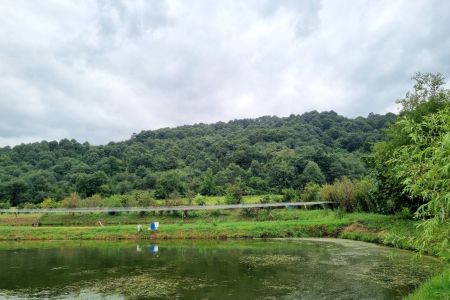 سوئیت در رشت - سقالکسار - طبقه دوم