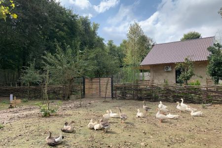 ویلا جنگلی در رشت - دره پشت