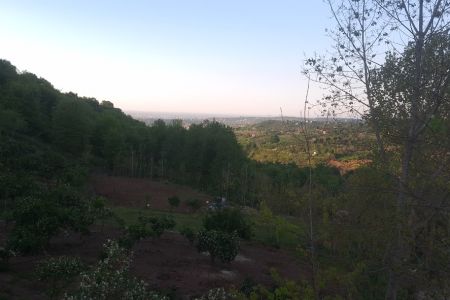 ویلا دو طبقه استخردار در قادیکلا قائمشهر