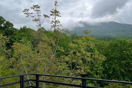 ویلا استخردار در خلیل شهر - سرخ او