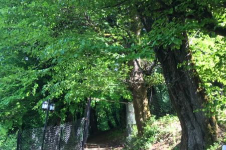 کلبه کاهگلی در رودبار - دیورش