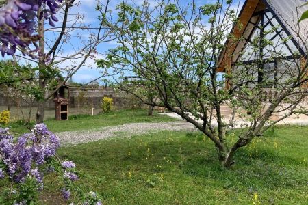 کلبه با بالکنی رو به شالیزار در اسالم - کریم سرا