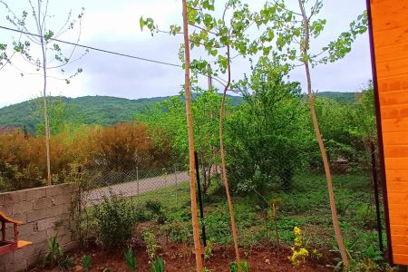 کلبه سوئیسی در شاندرمن - معاف