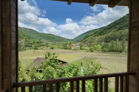 کلبه رو به جنگل در زیرآب - جوارم