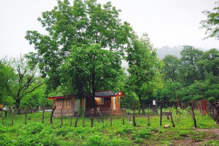 کلبه چوبی در ماسال - نسا