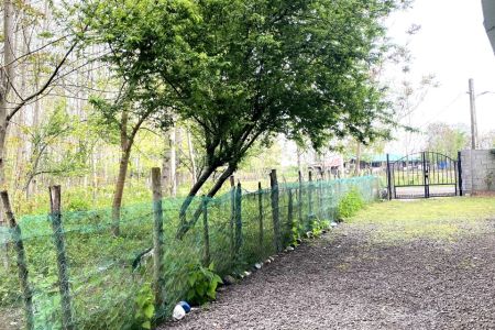 Renting a Rural House in Masal - Quran