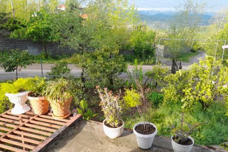 کلبه سوئیسی در بابلکنار - آزارسی