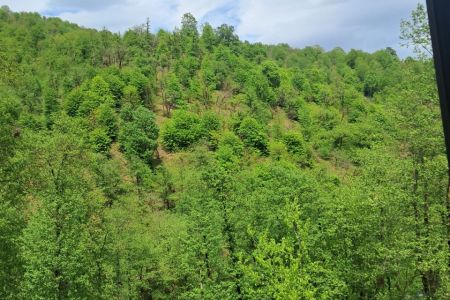 خانه مبله تراس دار در ماسال - توت نساء