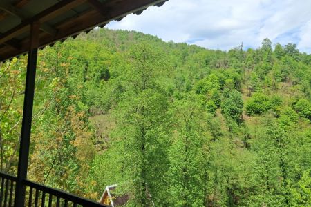 خانه مبله تراس دار در ماسال - توت نساء